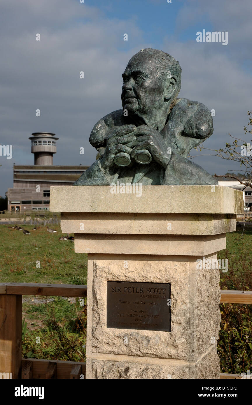 Busto di Sir Peter Scott a Wildfowl and Wetland Trust, Slimbridge, Gloucestershire, Regno Unito Foto Stock