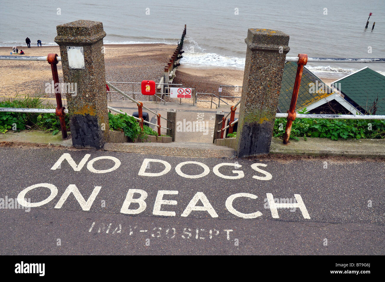 Southwold, Suffolk, Inghilterra: segno legge No cani sulla spiaggia Foto Stock