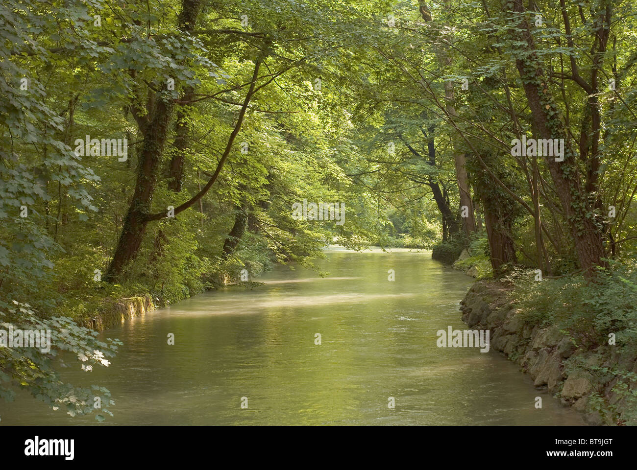 Ombra e Luce Scarsa su legno e streaming Foto Stock