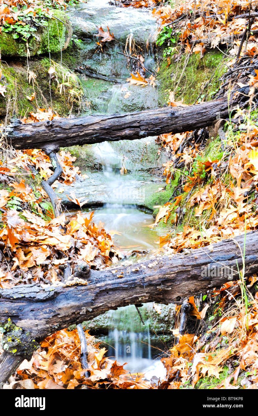Piccola cascata nel bosco con i colori autunnali Foto Stock