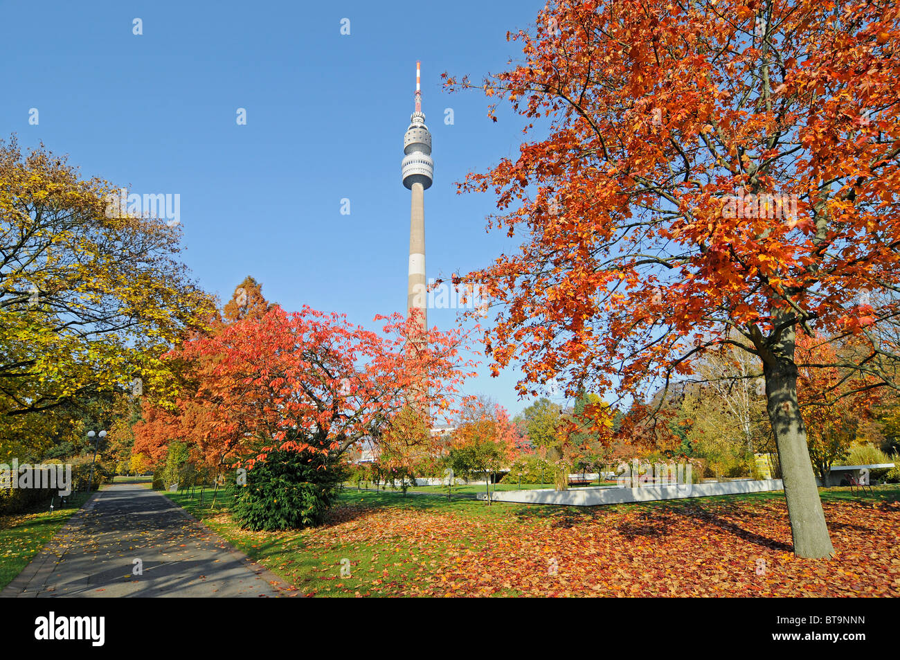 Florian, Florianturm tower, la torre della TV, autunno, Westfalenpark park, Dortmund, Renania settentrionale-Vestfalia, Germania, Europa Foto Stock