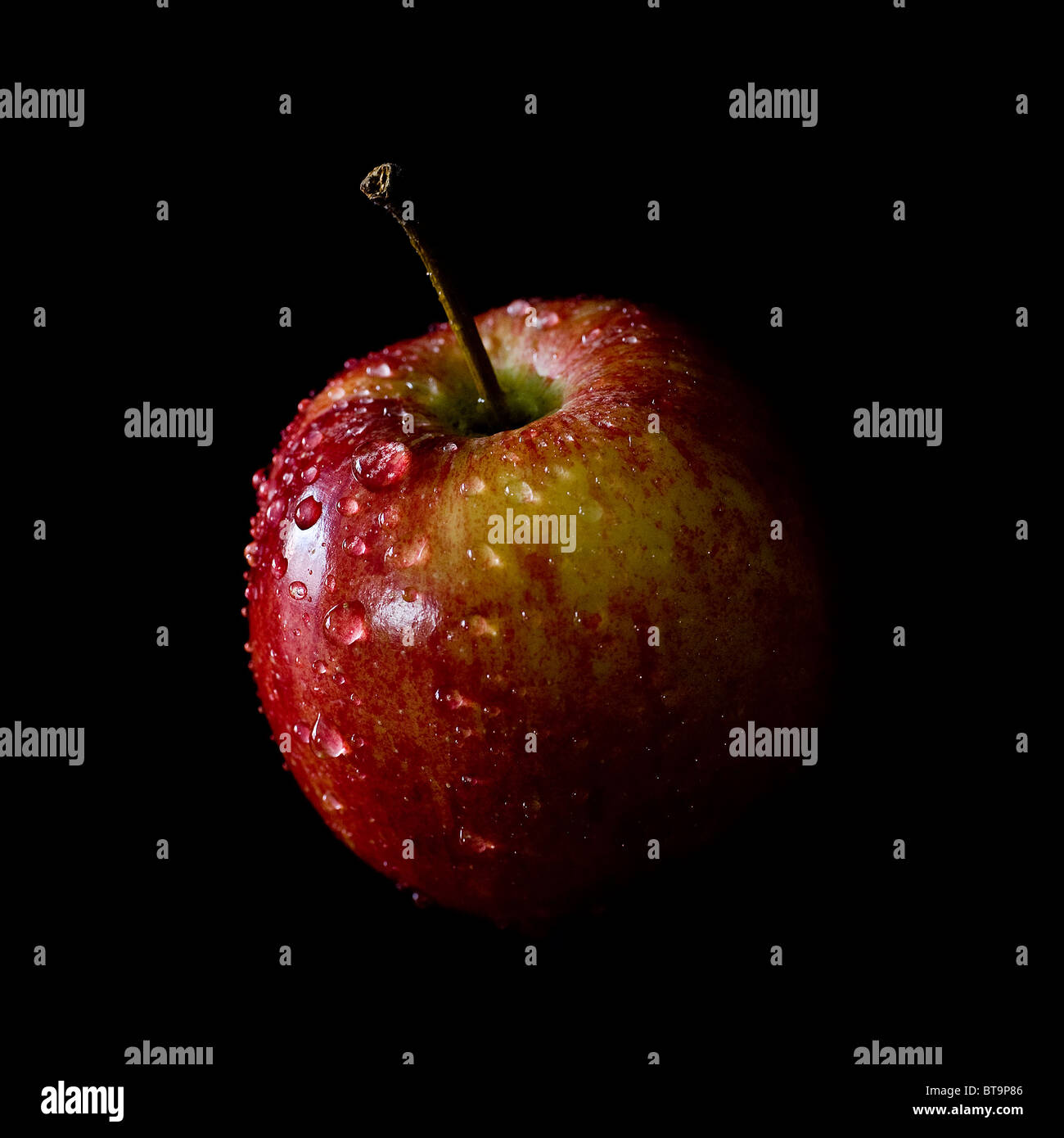 Un piccolo inglese apple coperto di umidità. Foto Stock