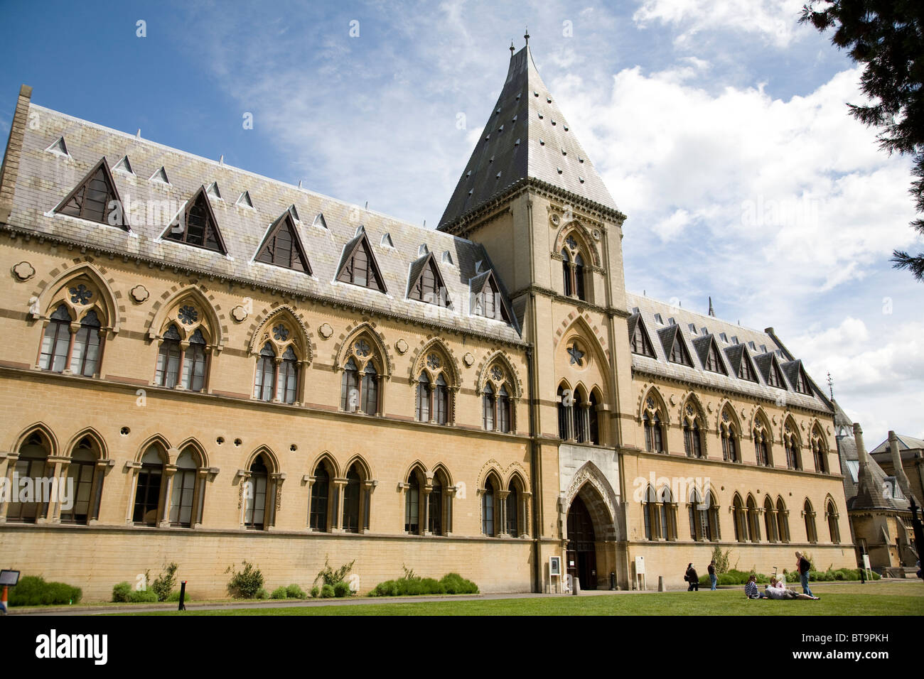 Università di Oxford, Museo di Storia Naturale. Oxford. Inghilterra Foto Stock