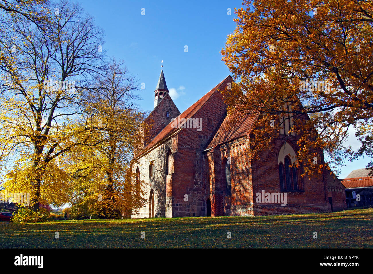 Chiesa Storica, la chiesa di San Nicola in Dassow con calce e alberi di quercia in autunno colori, Northwest Mecklenburg district Foto Stock