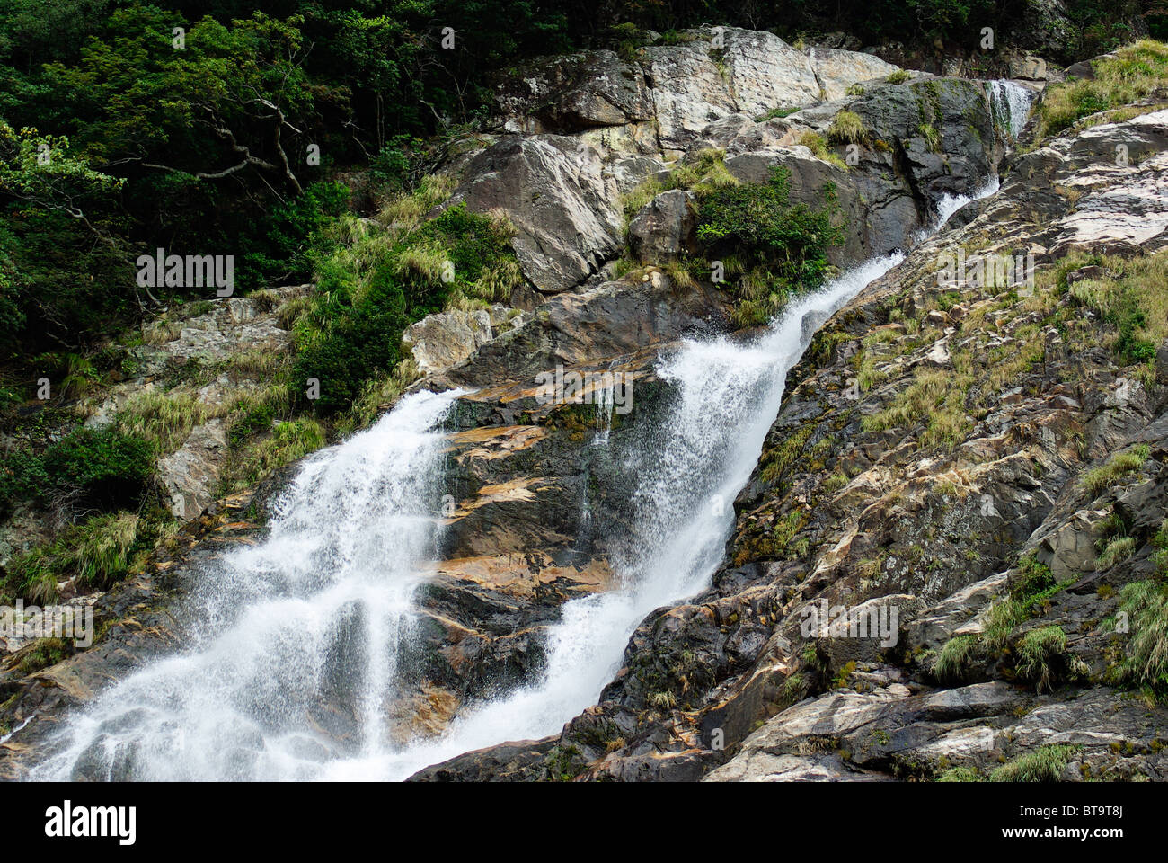 In alto di Ohko-no-Taki cascata sull isola di Yakushima, Kagoshima, Giappone Foto Stock