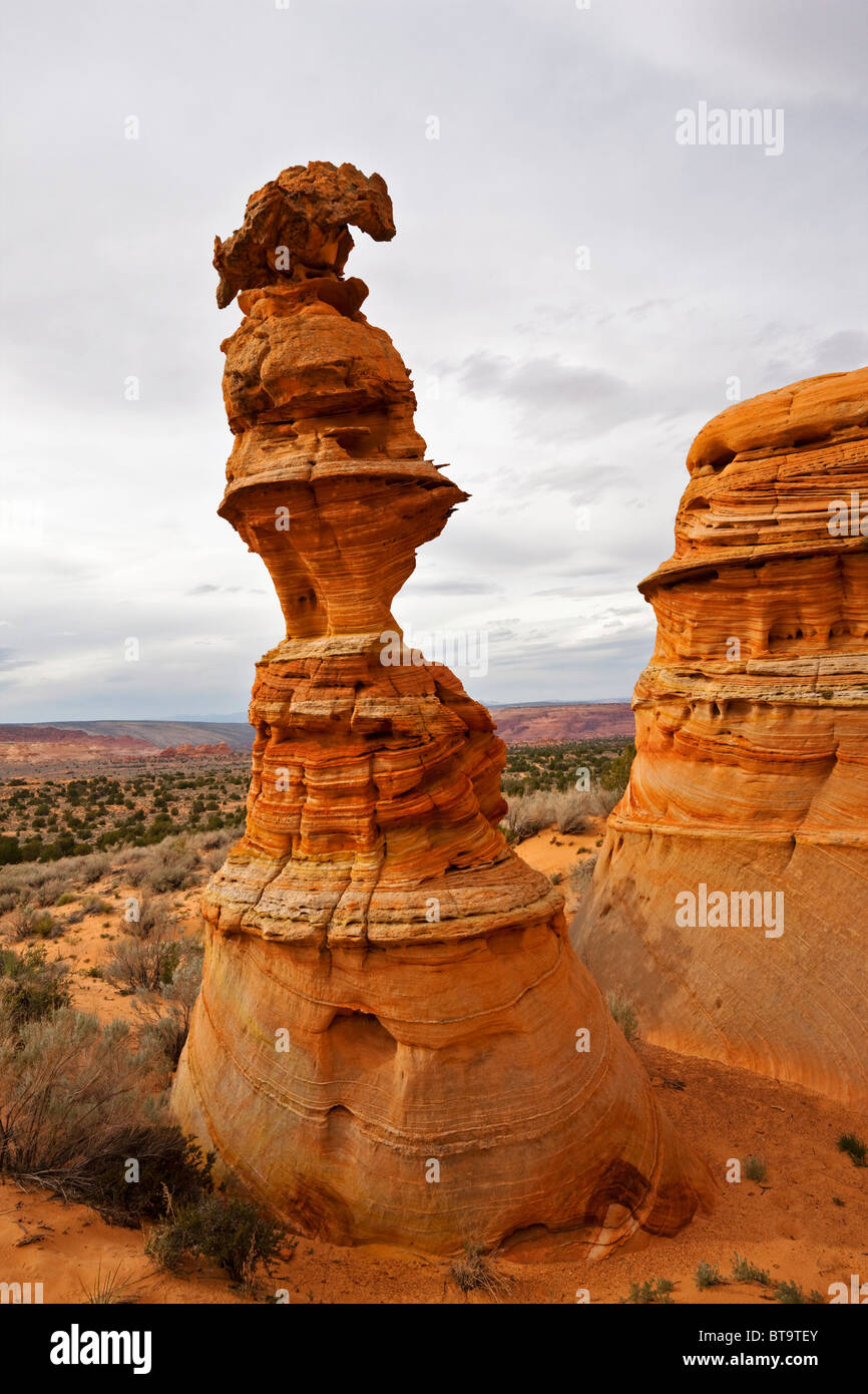 Regina formazione di roccia, Coyote Buttes Sud, Paria Canyon-Vermilion scogliere deserto dello Utah, dell'Arizona, America, Stati Uniti Foto Stock