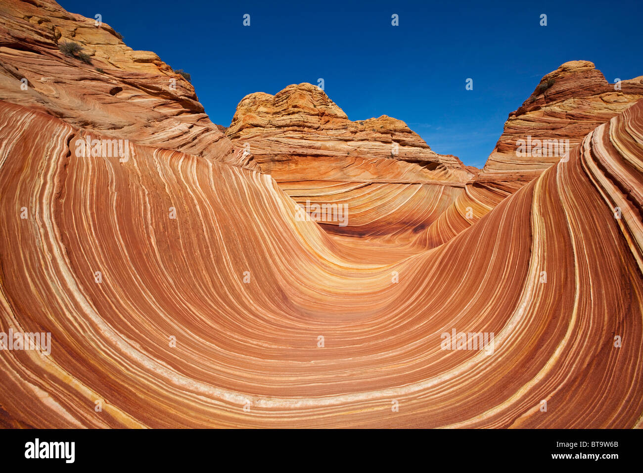 L'Onda, formazione di roccia in Coyote Buttes North, Paria Canyon-Vermilion scogliere deserto dello Utah, dell'Arizona, Stati Uniti d'America Foto Stock