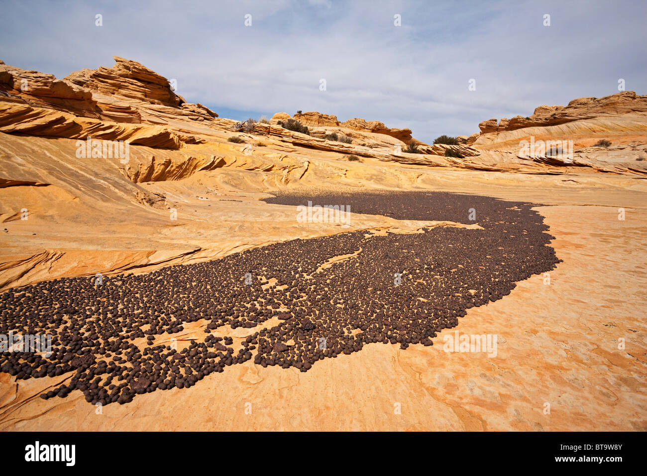 Piccola delle pietre nere rotonde, Coyote Buttes North, Paria Canyon-Vermilion scogliere deserto dello Utah, dell'Arizona, Stati Uniti d'America Foto Stock