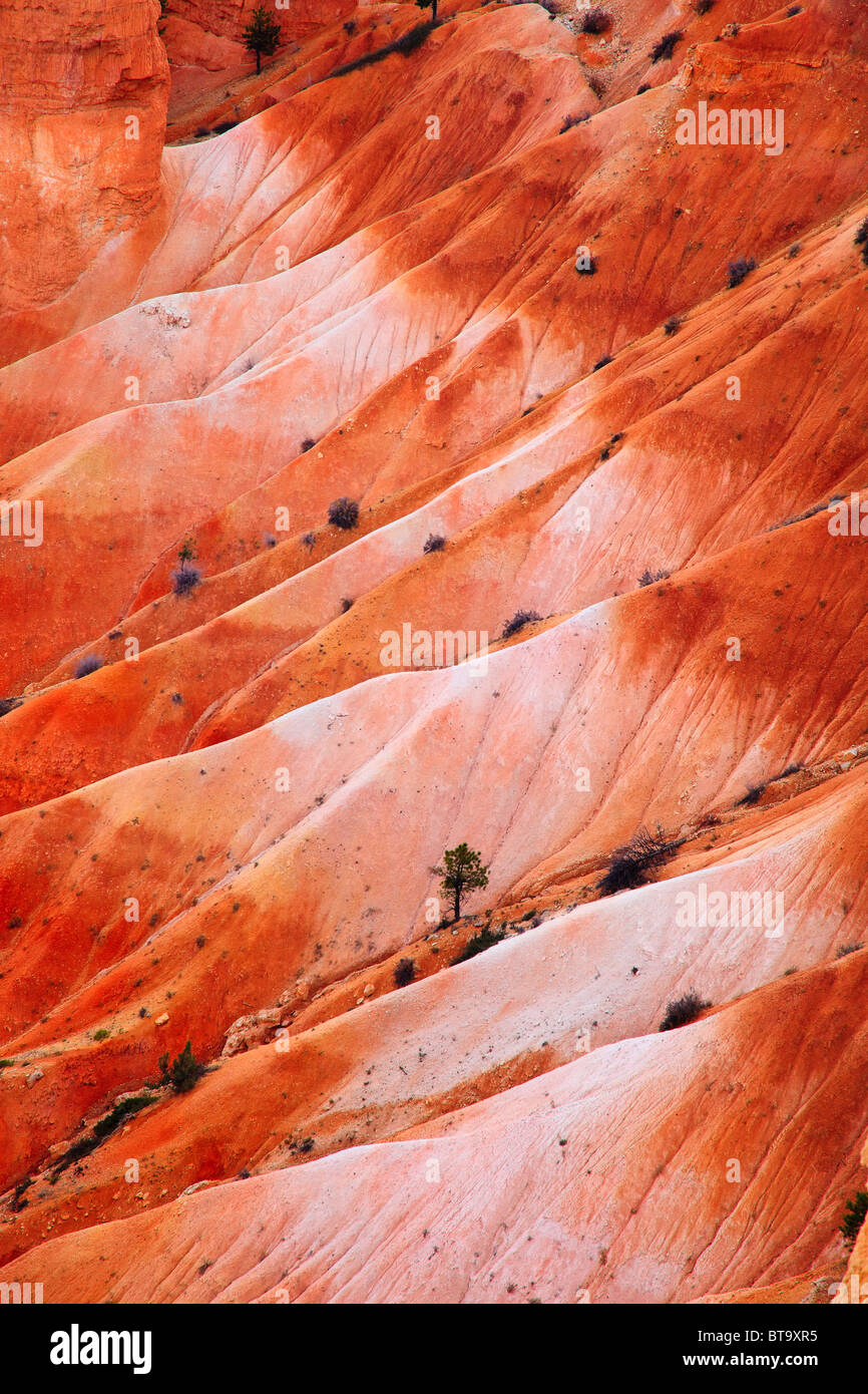 Vista in Bryce Canyon dello Utah, Stati Uniti d'America, America del Nord Foto Stock