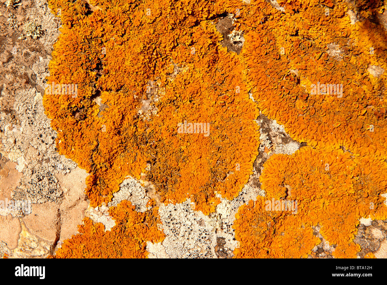 La piena immagine di frame di pietra naturale per sfondo testurizzata Foto Stock