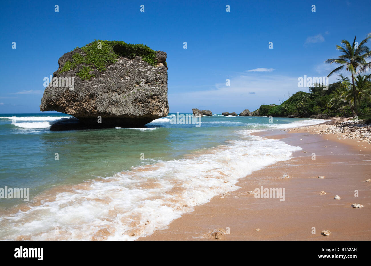 Roccia del fungo, Betsabea, Barbados, West Indies. La roccia è famosa per l'erosione sulla sua base creando la forma inusuale. Foto Stock