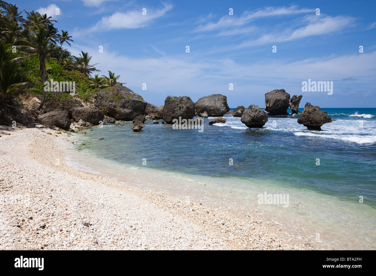 Formazione di roccia a Martin's Bay, Barbados, East coast, West Indies Foto Stock