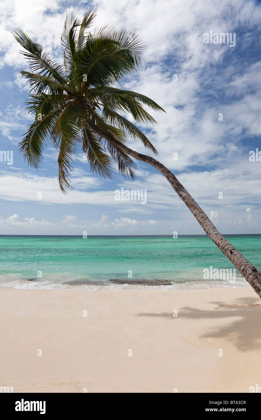 Spiaggia vicino a St Laurence, Barbados, West Indies Foto Stock