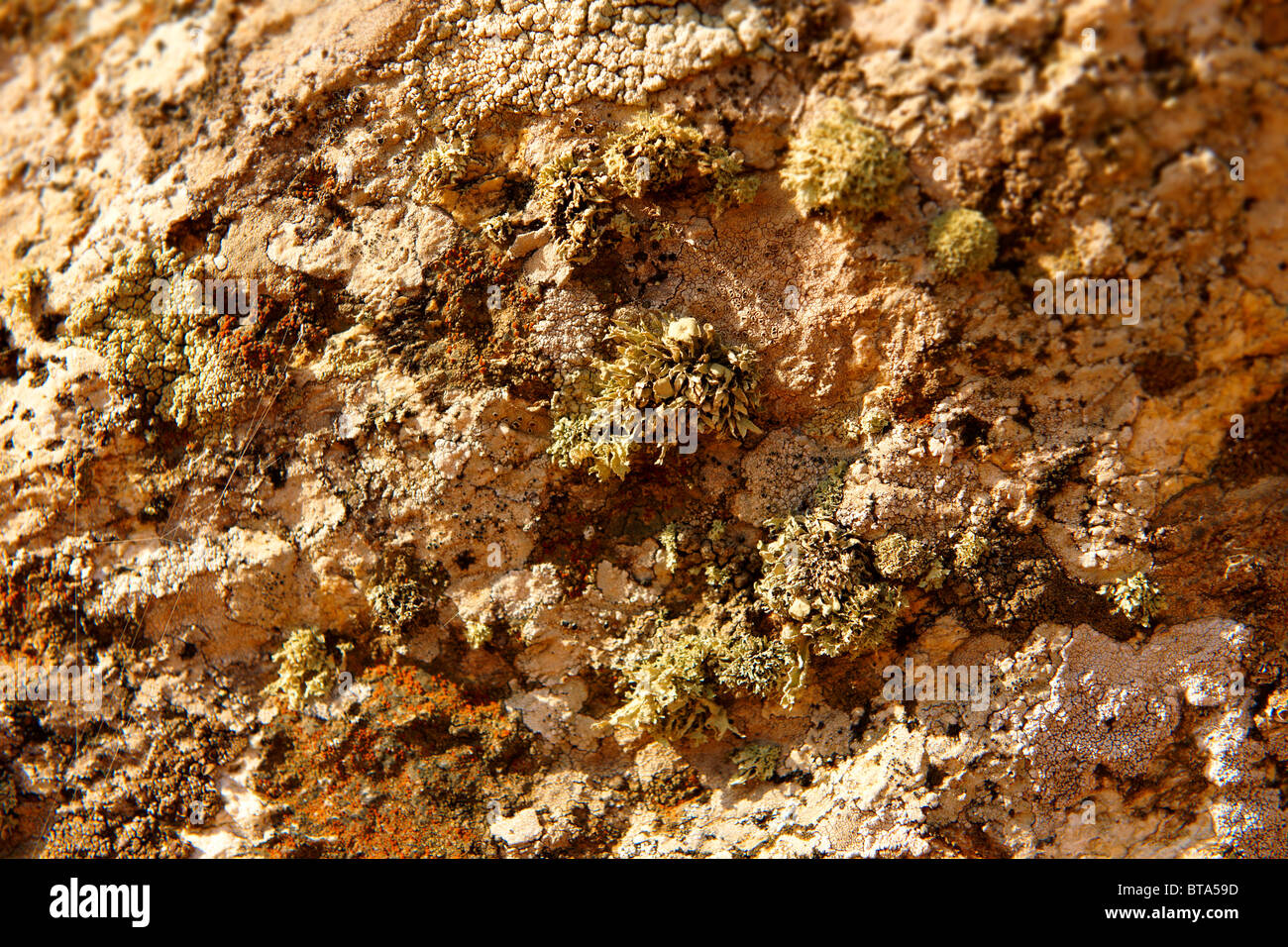 La piena immagine di frame di pietra naturale per sfondo testurizzata Foto Stock