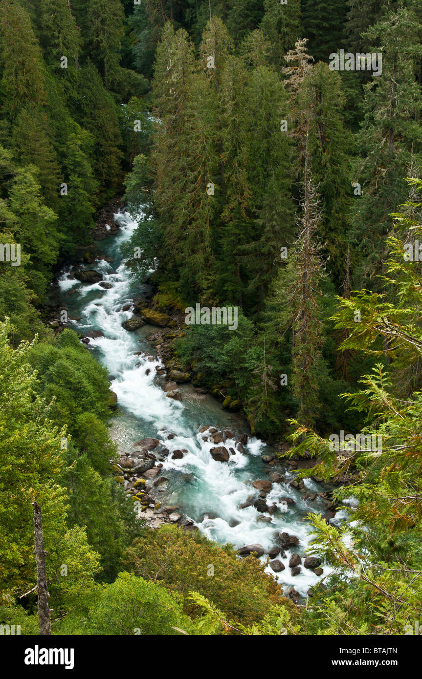 Cascata fiume, Mount Baker-Snoqualmie National Forest, North Cascades, Washington. Foto Stock