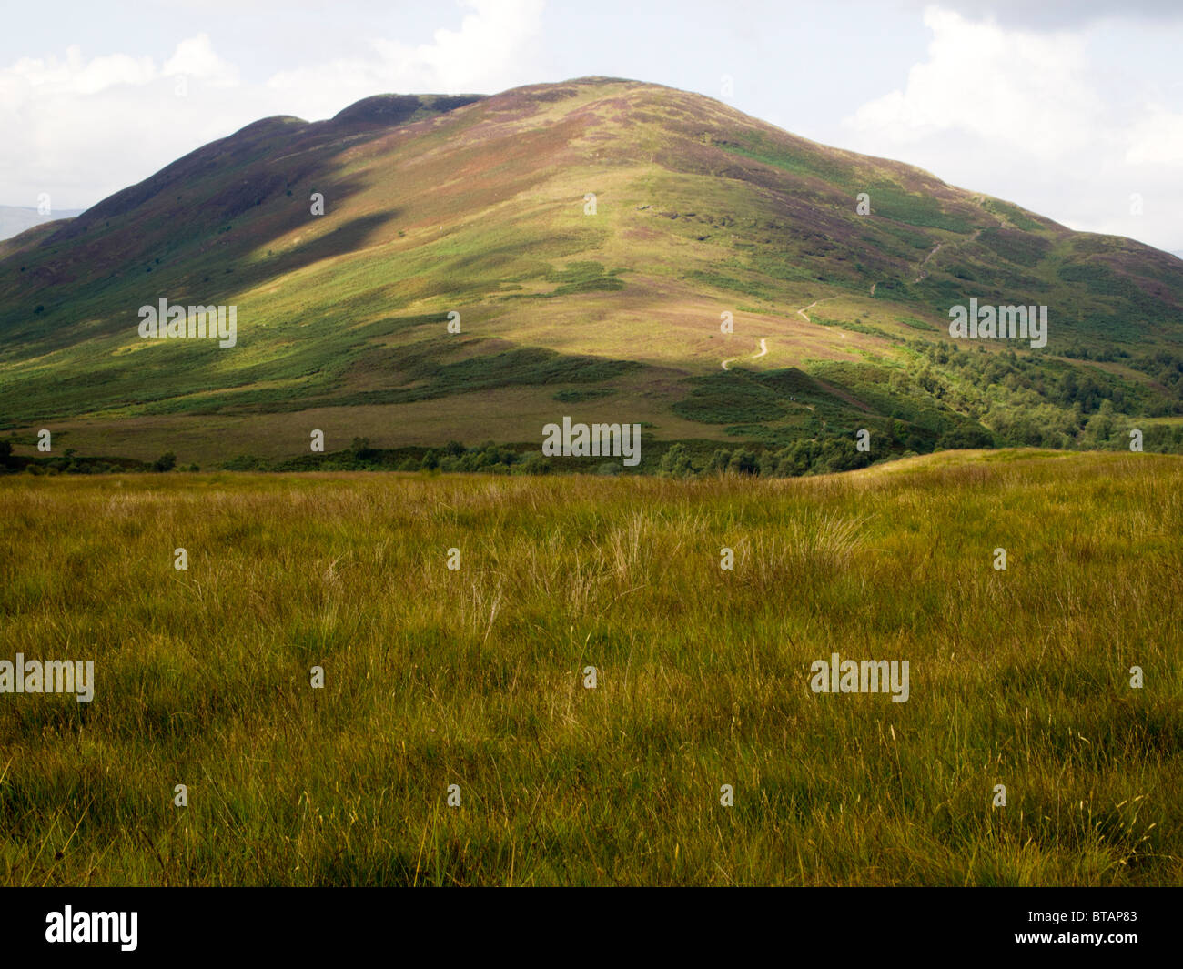 Collina conica, Balmaha, Scozia Foto Stock