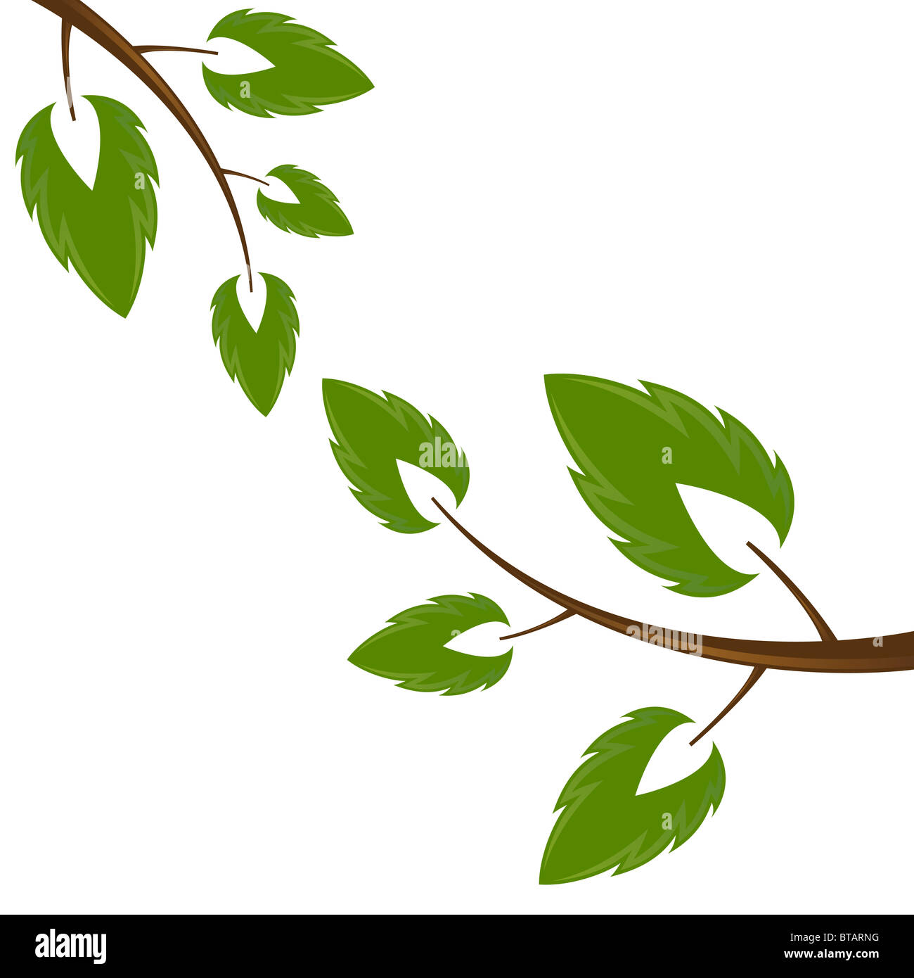 Icono de ilustración vectorial Immagini senza sfondo e Foto Stock ...