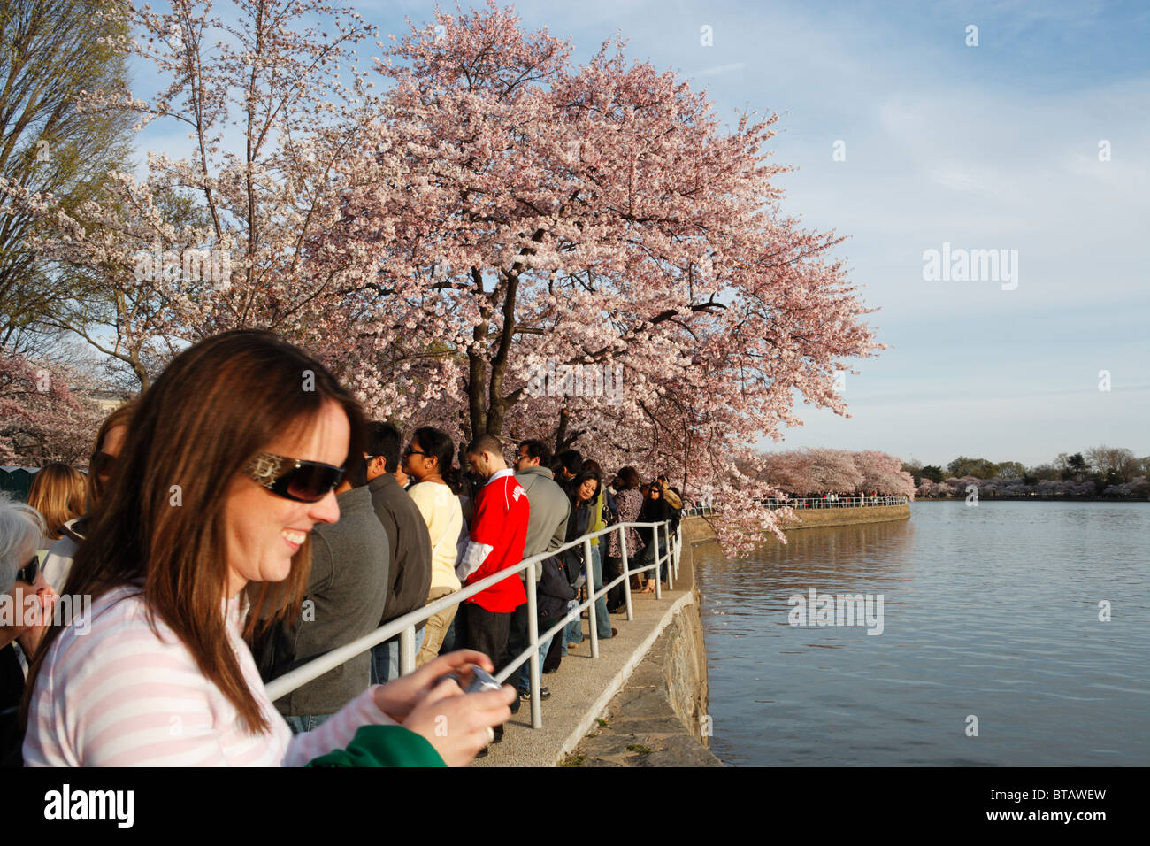 I turisti passeggiare intorno al bacino di marea in Washington, DC durante la fioritura primaverile dei ciliegi. Foto Stock