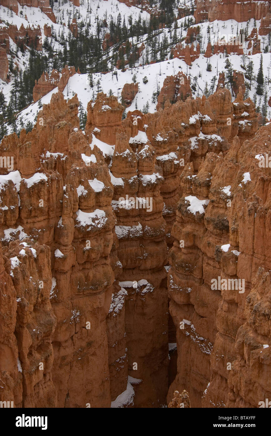 Bryce Canyon, Utah Foto Stock