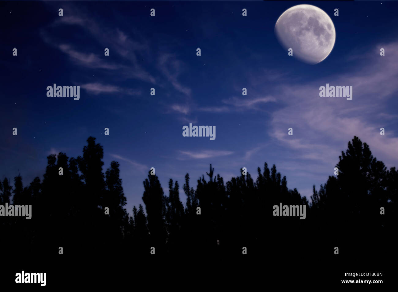 Paesaggio notturno con la luna, alberi silhouette, nuvole e stelle Foto Stock