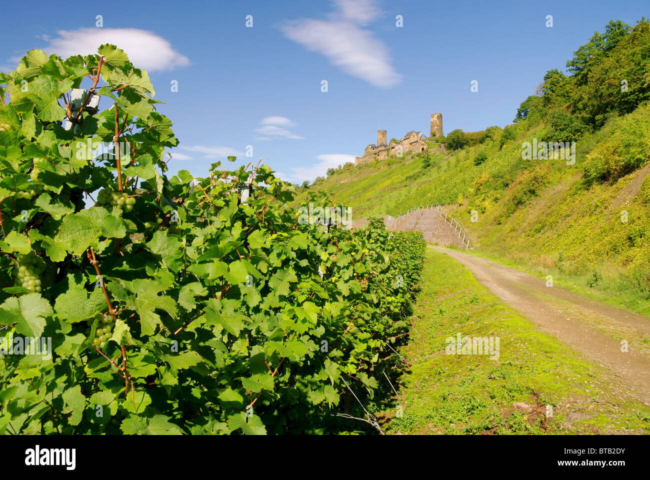 Thurant Burg - Castello Thurant 08 Foto Stock