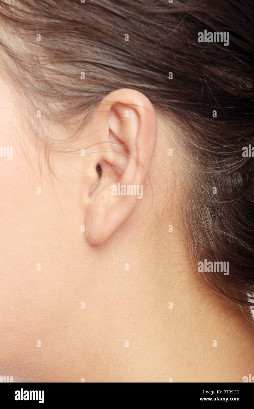 Un close-up ritratto di un orecchio femmina Foto Stock
