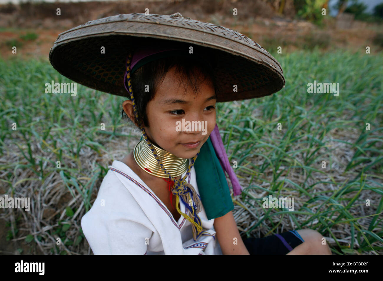 Agricoltura in Thailandia Foto Stock