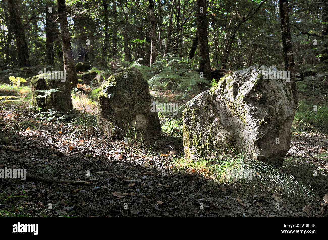 Il comitato permanente delle pietre di Carnac, Brittany, Francia Foto Stock