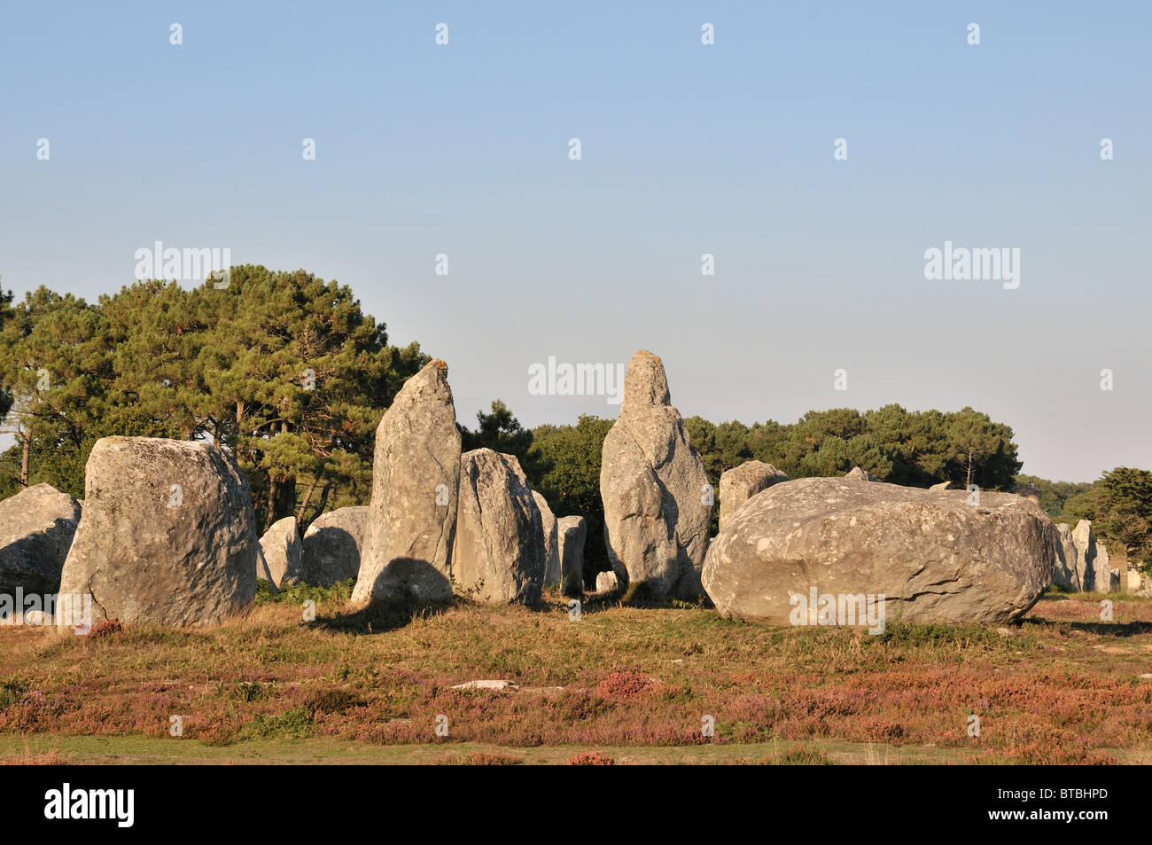 Il comitato permanente delle pietre di Carnac, Brittany, Francia Foto Stock