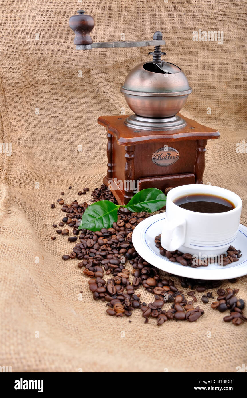 Vintage macinino da caffè e la pianta del caffè con granuli Foto Stock