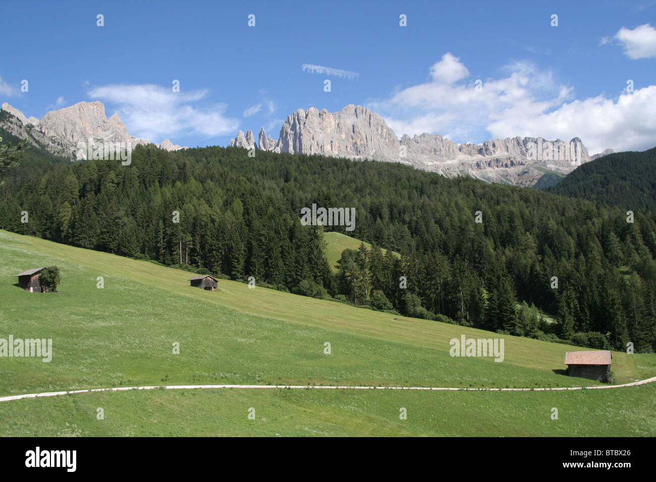 I prati alpini e il Catinaccio nelle Dolomiti italiane Foto Stock
