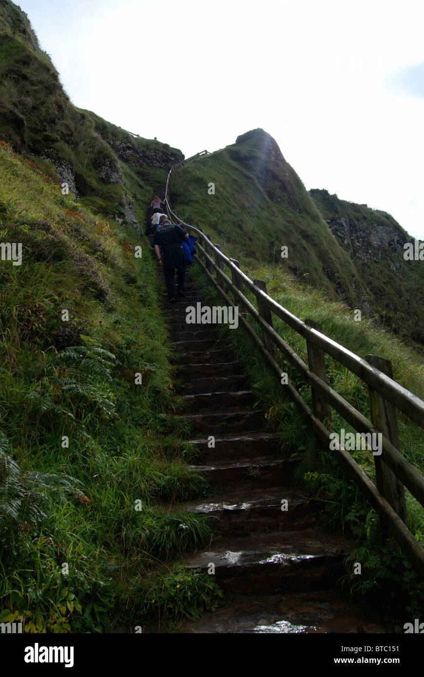 Visitatori salendo la scalinata per il clifftop al Giants Causeway, County Antrim, Irlanda del Nord Foto Stock