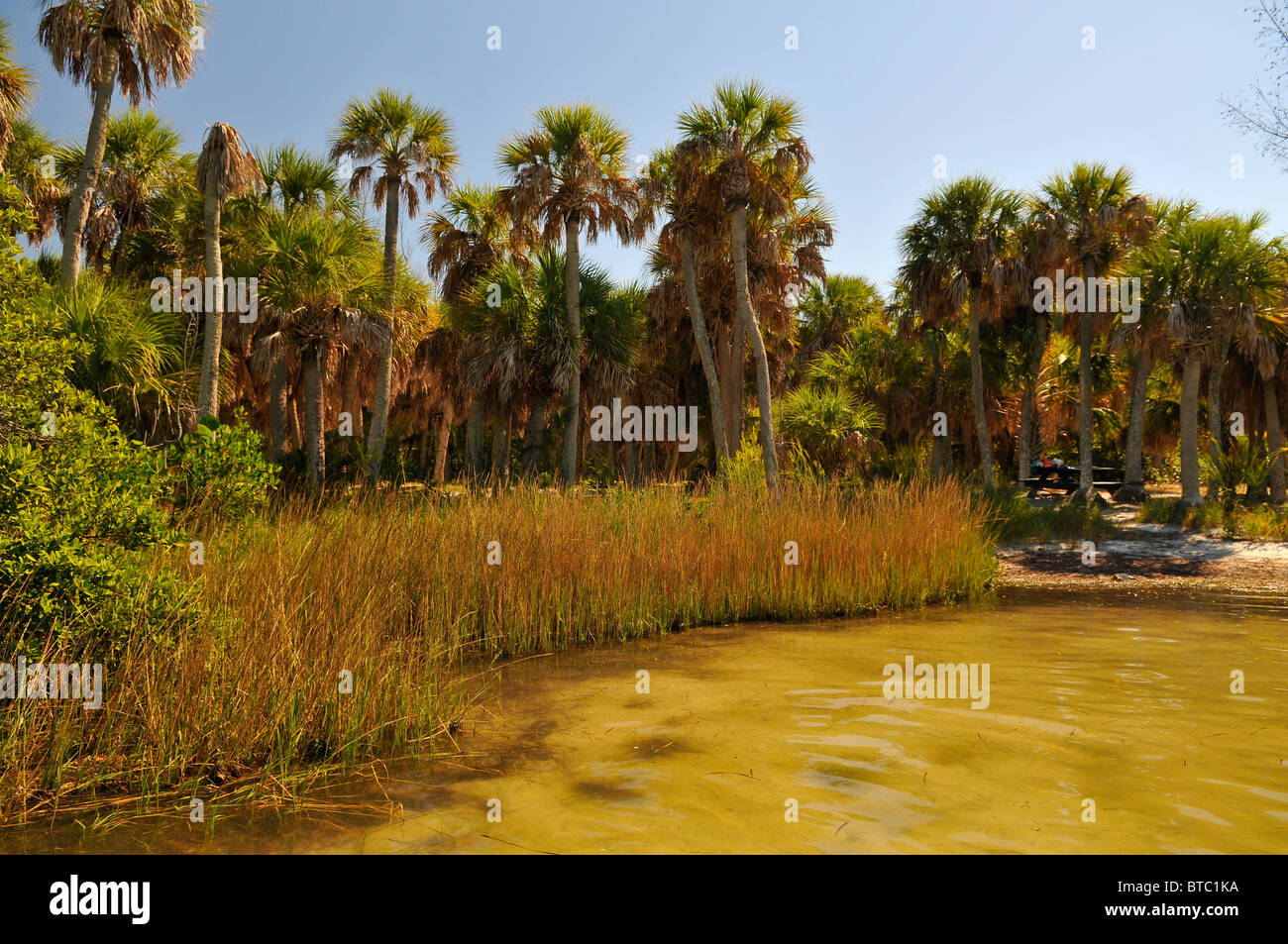 Fort Desoto Beach Foto Stock