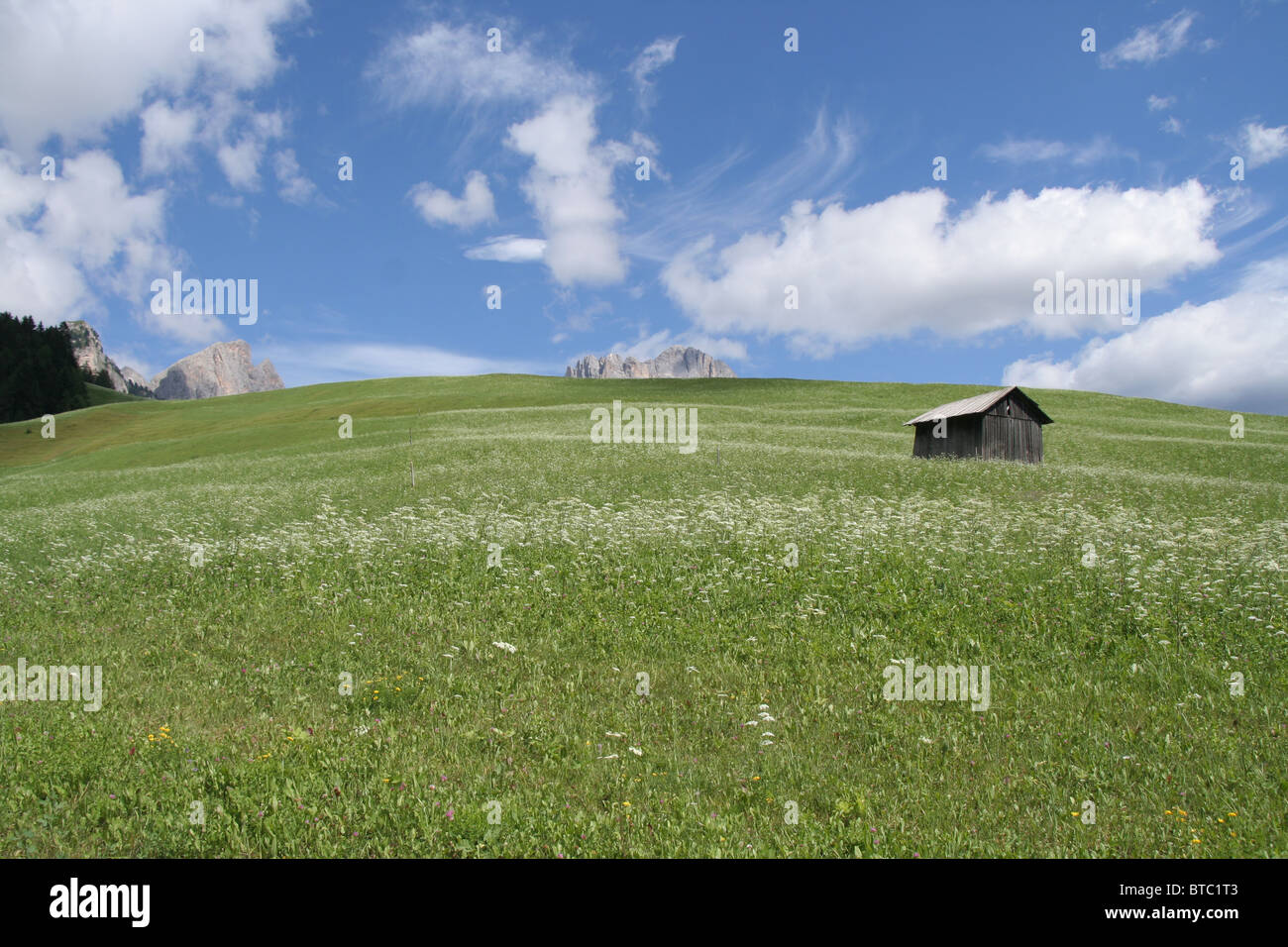 I prati alpini e il Catinaccio fa capolino sullo sfondo delle Dolomiti italiane Foto Stock