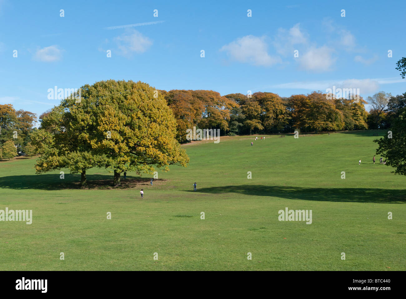 Vista su Warley boschi vicino al Birmingham Foto Stock