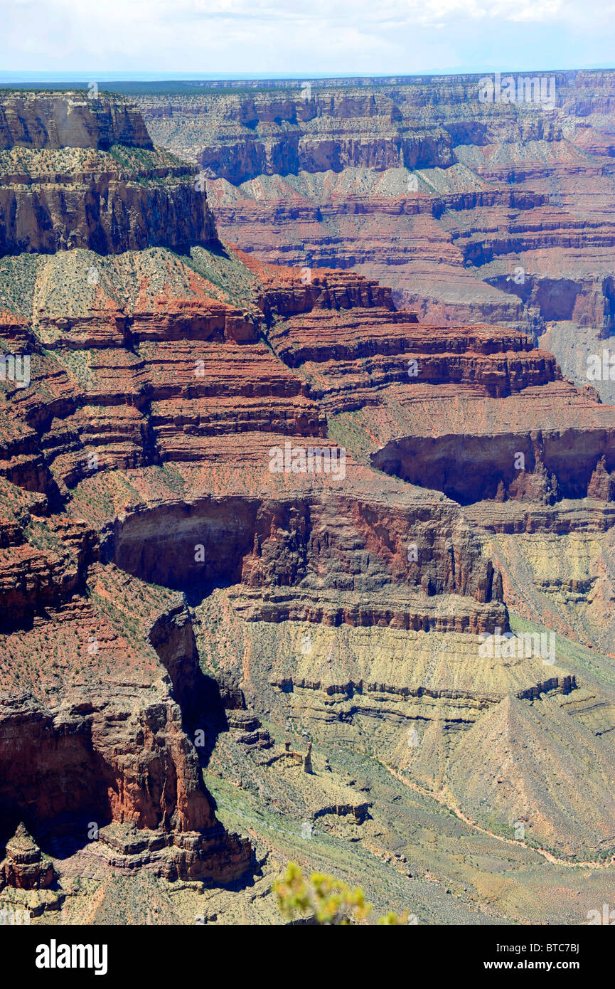 Bordo Sud del Parco Nazionale del Grand Canyon Arizona Foto Stock