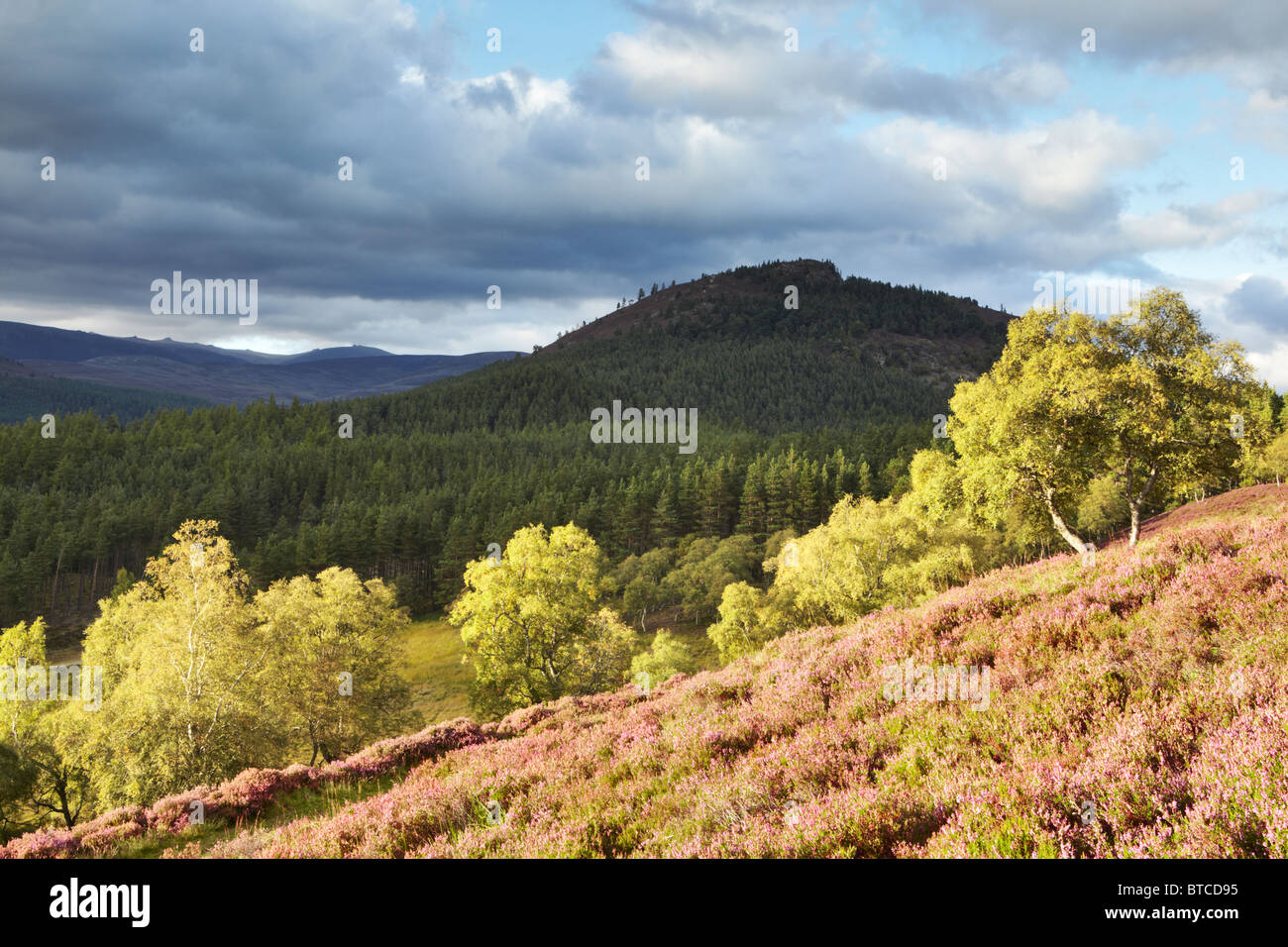 Il Grampian Mountains sopra Braemar, Royal Deeside, Scozia Foto Stock