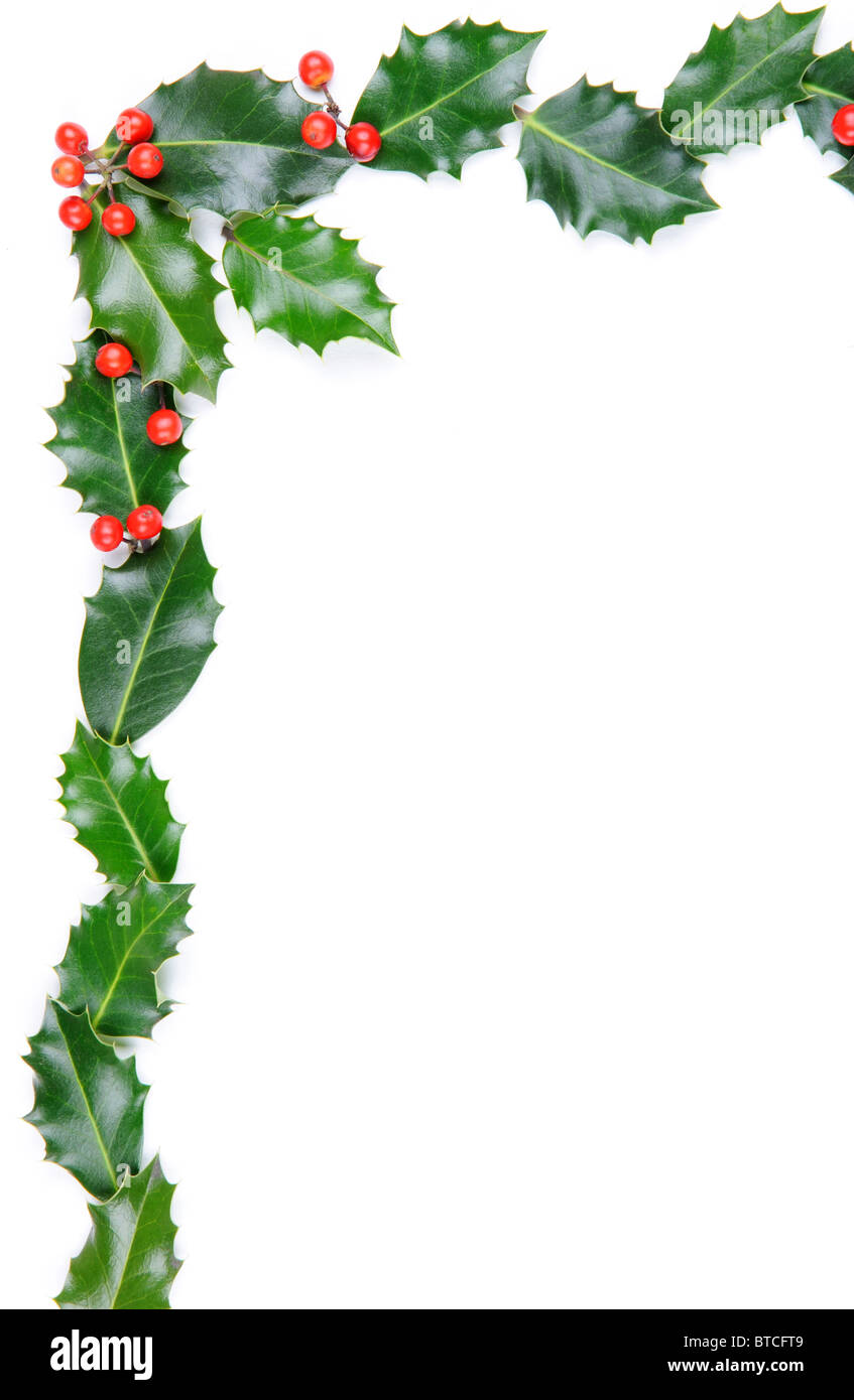 100 Piccole Bacche Di Agrifoglio Natalizie, Bacche Artificiali Per Decorazioni Di Alberi Di Natale E Ghirlande Rosso 98534989