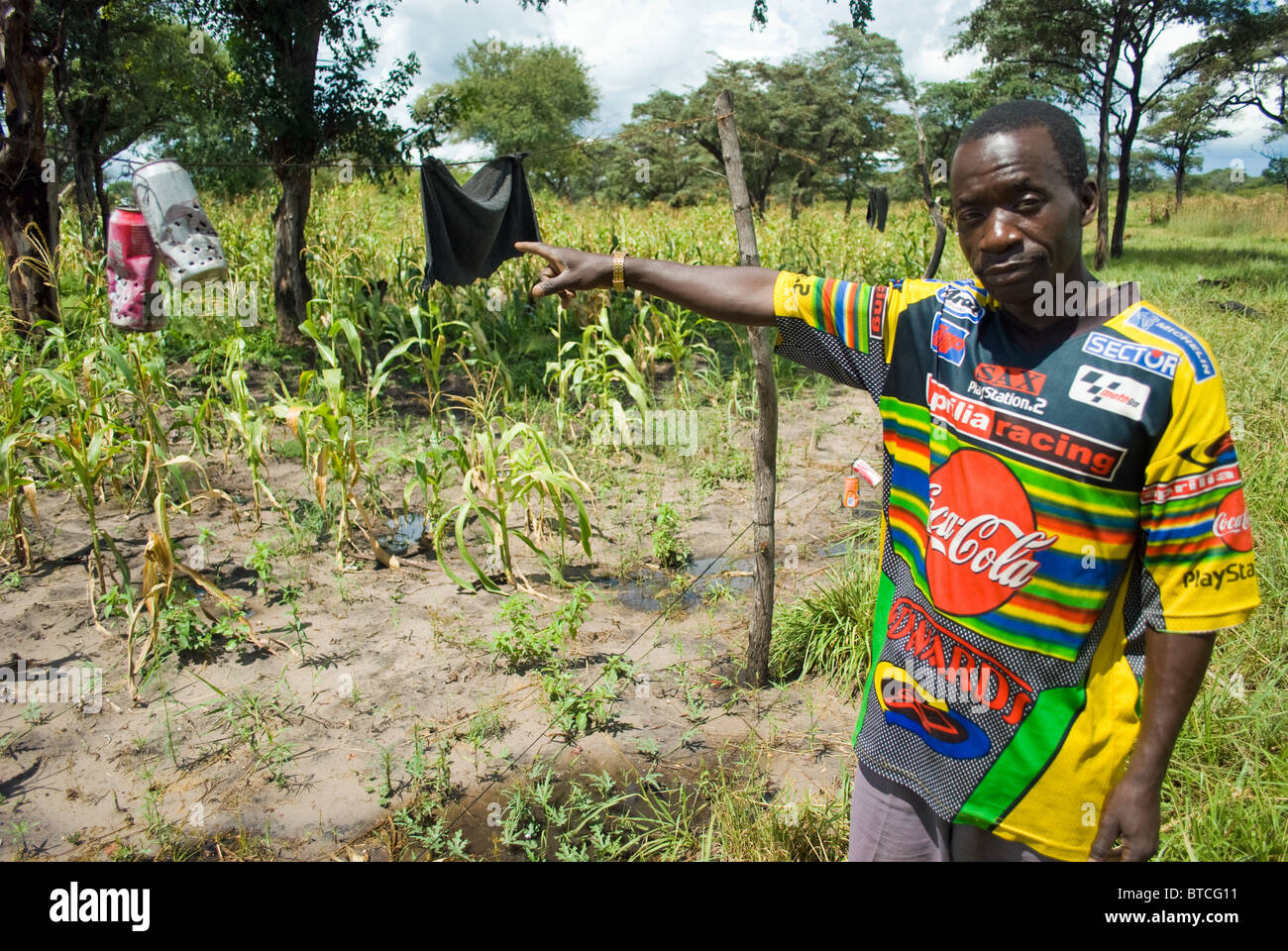 Un agricoltore si mette in mostra la sua "peperoncino" elefante recinto di prova utilizzati per proteggere le sue coltivazioni in Zambia. Foto Stock