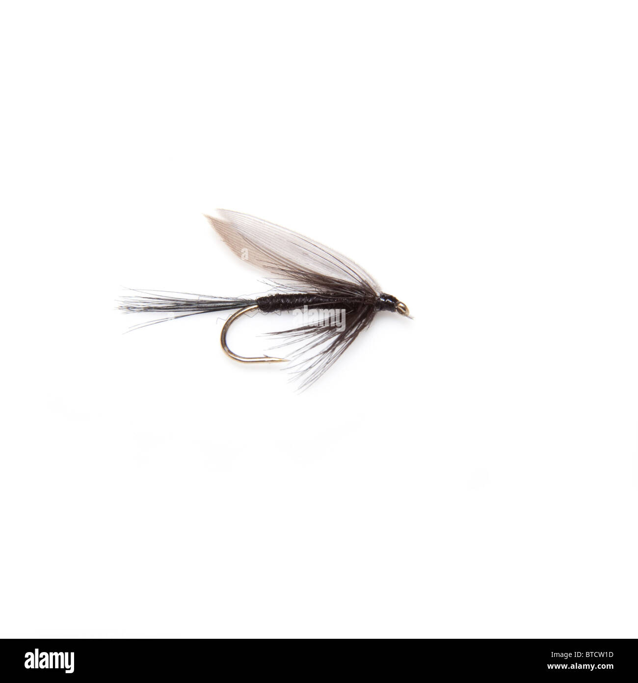 Nero knat trout fly isolato su un bianco di sfondo per studio. Foto Stock