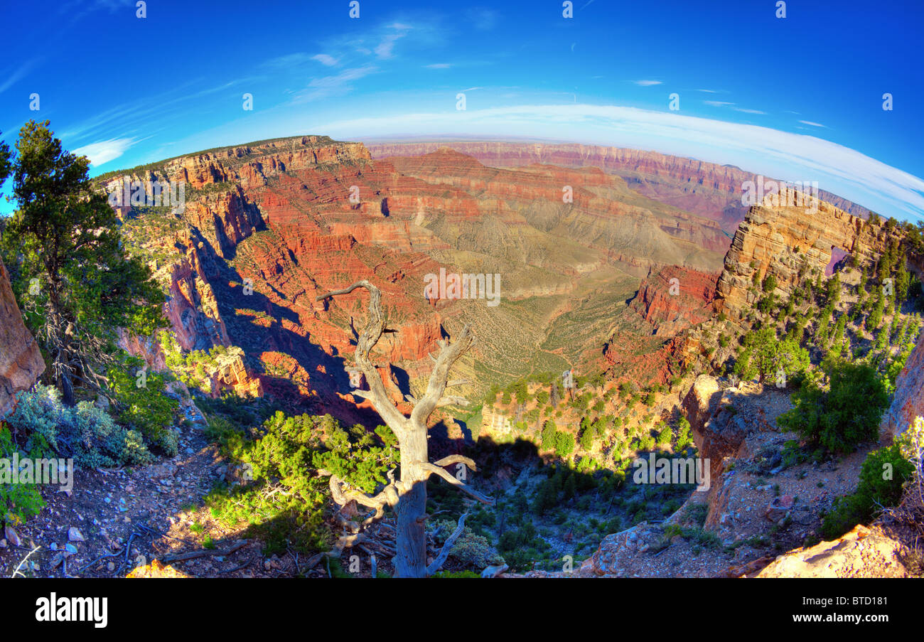 Vista fisheye del Grand Canyon Foto Stock