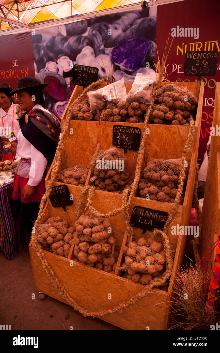 Papas Nativas, o patate indigene, per la vendita mediante il chilo a Lima in Perù annuale del festival di gastronomia mistura. Foto Stock