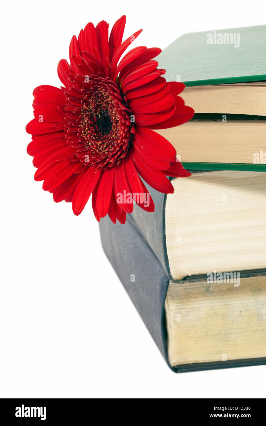 Pila di libri con un fiore rosso tra i volumi. Foto Stock