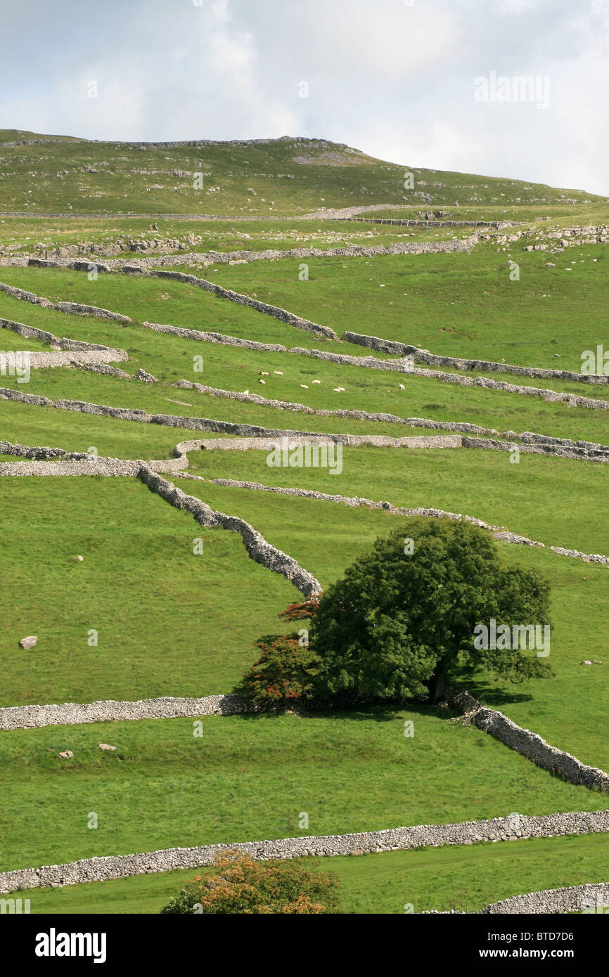 Vista della collina di Shorkley sopra Malham Village nel North Yorkshire Foto Stock