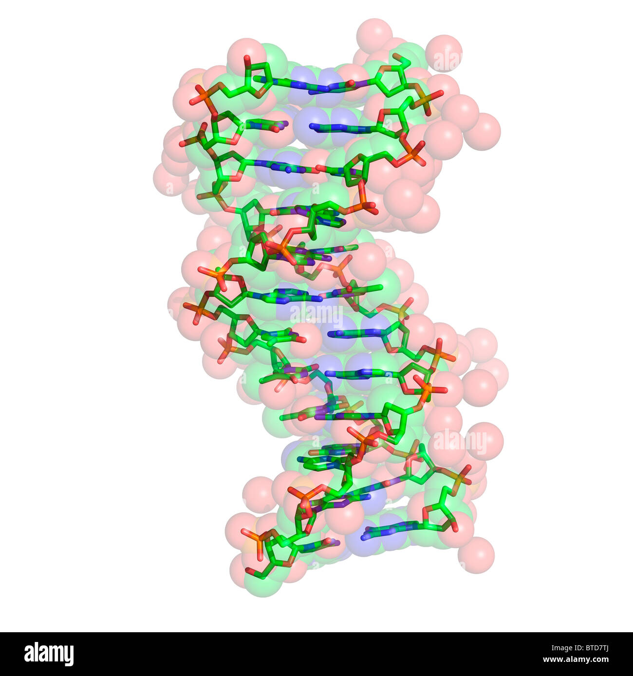 Molecola del DNA Foto Stock
