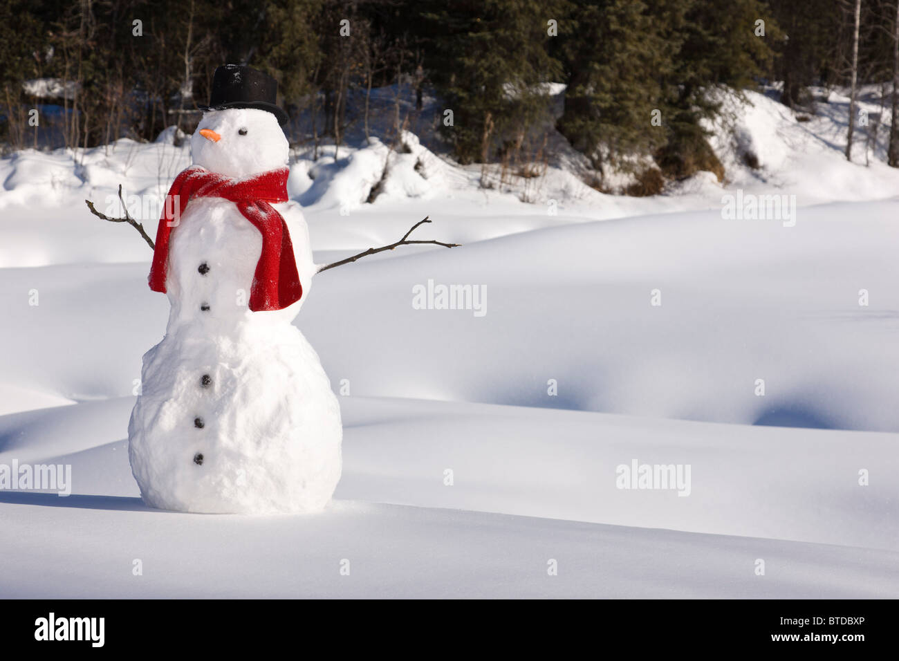 Pupazzo di neve con una sciarpa rossa e nera top hat seduto accanto a una coperta di neve il letto del fiume, centromeridionale Alaska, inverno Foto Stock