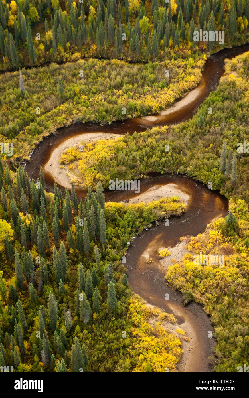 Vista aerea del Fiume Talachulitna snoda in pianura al di sotto delle montagne Tordrillo centromeridionale, Alaska, caduta Foto Stock