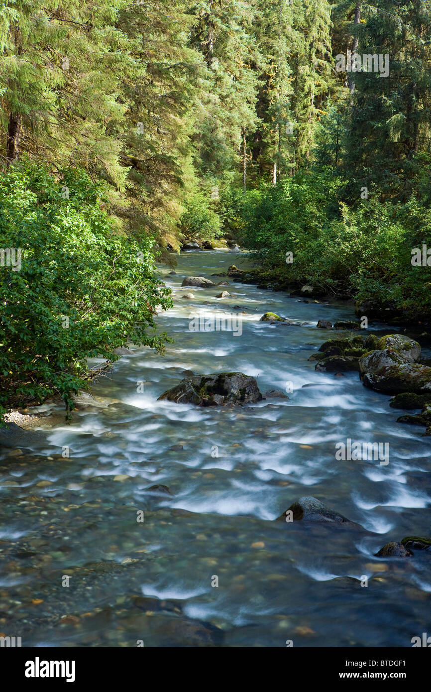 Piccolo fiume che scorre attraverso la vecchia foresta in Tongass National Forest, a sud-est, Alaska Foto Stock