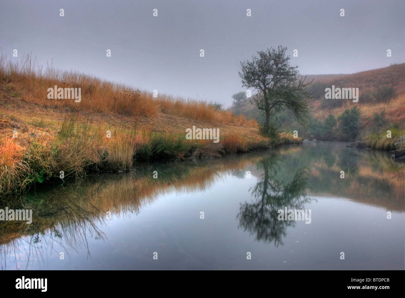 Un highveld flusso che scorre rapidamente su rocce con autunno vegetazione colorata sulle rive Foto Stock