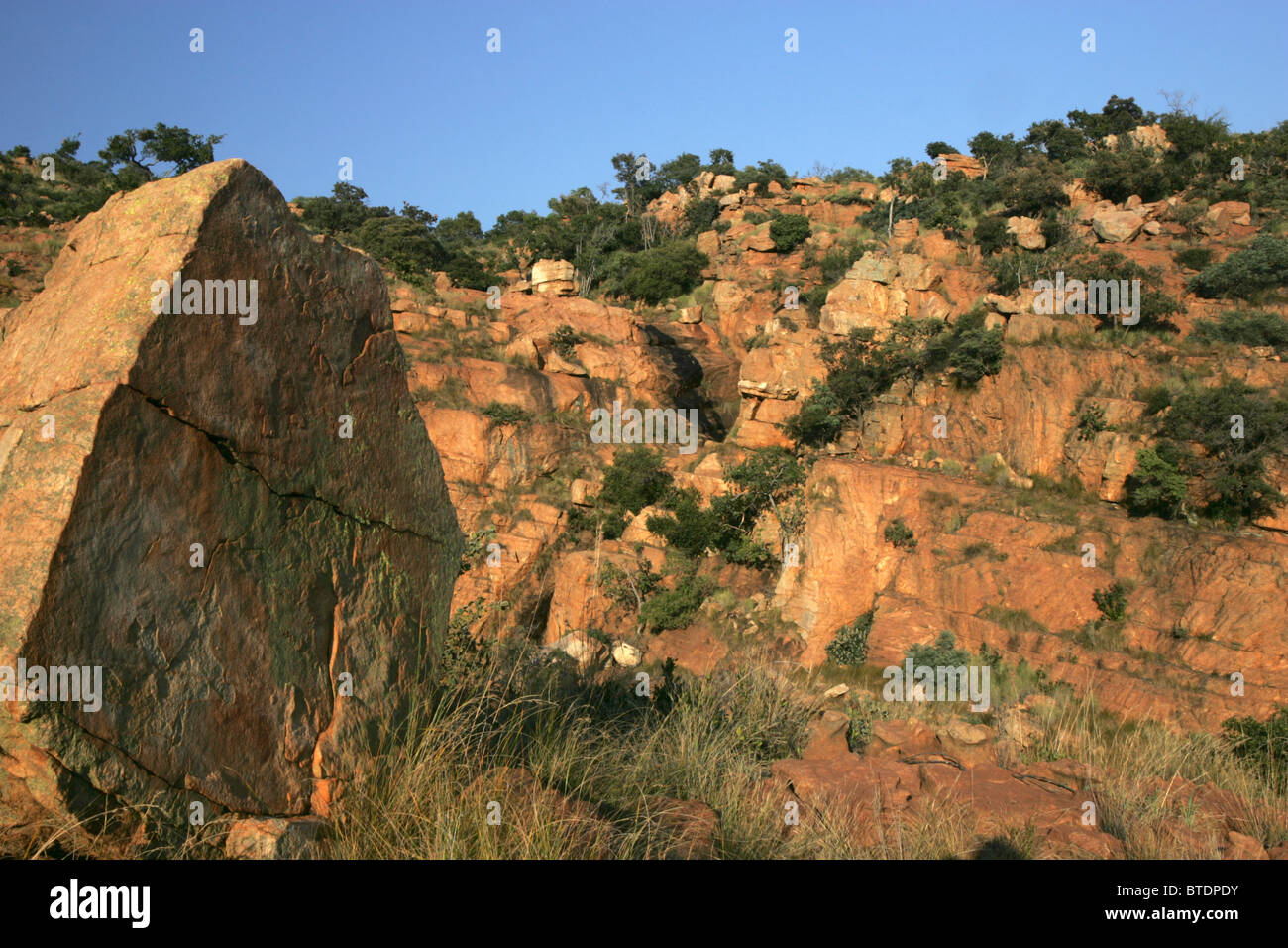 Vista panoramica sulla vegetazione e rocce nel Magaliesberg Foto Stock